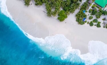 shifaaz-shamoon-Rl9l9mL6Pvs-unsplash