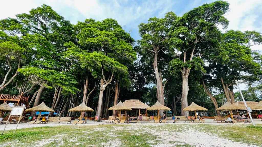 Best Andaman tour packages 4N 5D from Bangalore