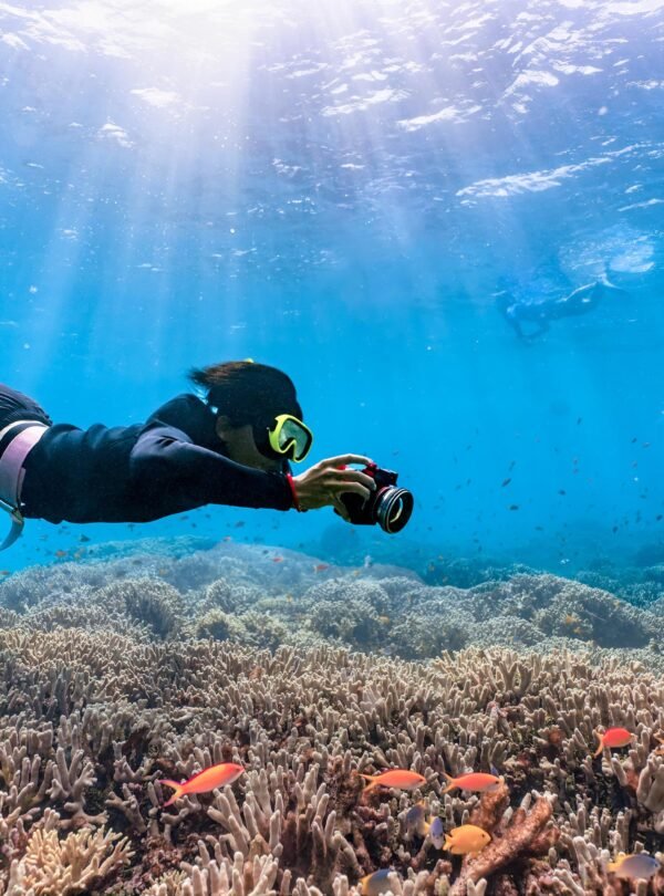 Best Andaman tour packages 4N 5D from Bangalore