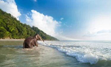 Best Andaman tour packages 4N 5D from Bangalore