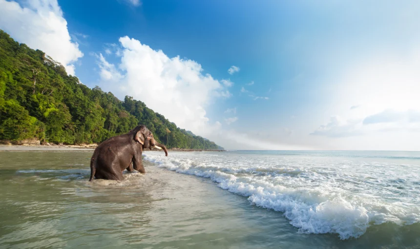 Affordable Destinations for a Couple’s Holiday Trip: Explore with Seven Sands Tourism