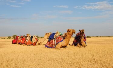 Gujarat Group Tour Packages 6N 7D from Bangalore