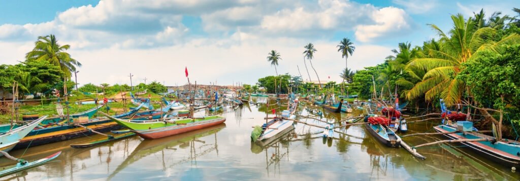 Madu River Boat Ride Sri Lanka nature tours