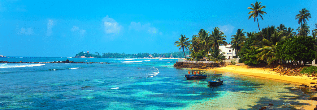 Madu River Boat Ride Sri Lanka nature tours