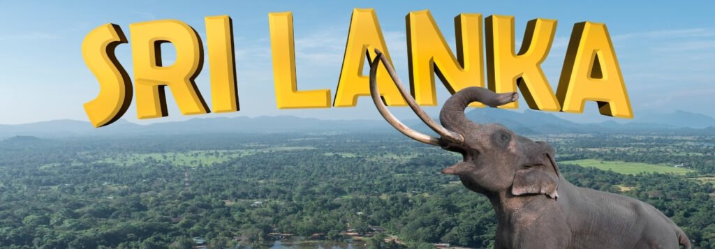 Madu River Boat Ride Sri Lanka nature tours