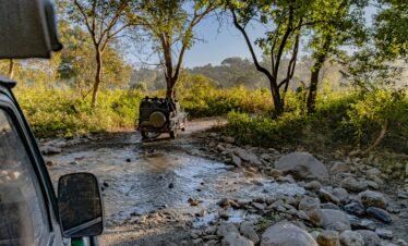 Jim Corbett National Park Tour Packages from Bangalore
