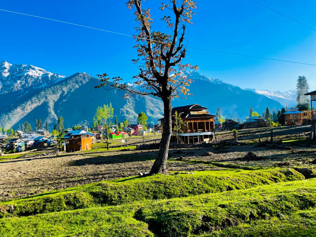 Paradise Kashmir 5N 6D Tour from Bangalore