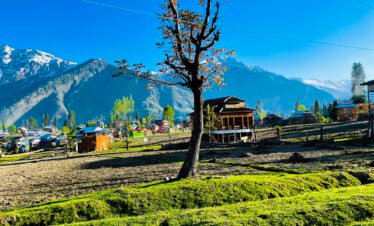 Paradise Kashmir 5N 6D Tour from Bangalore