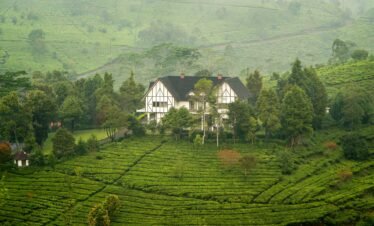 Munnar Sightseeing , Munnar tour package from Bangalore