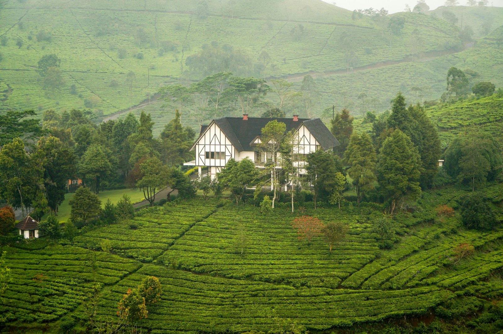 Munnar Sightseeing , Munnar tour package from Bangalore