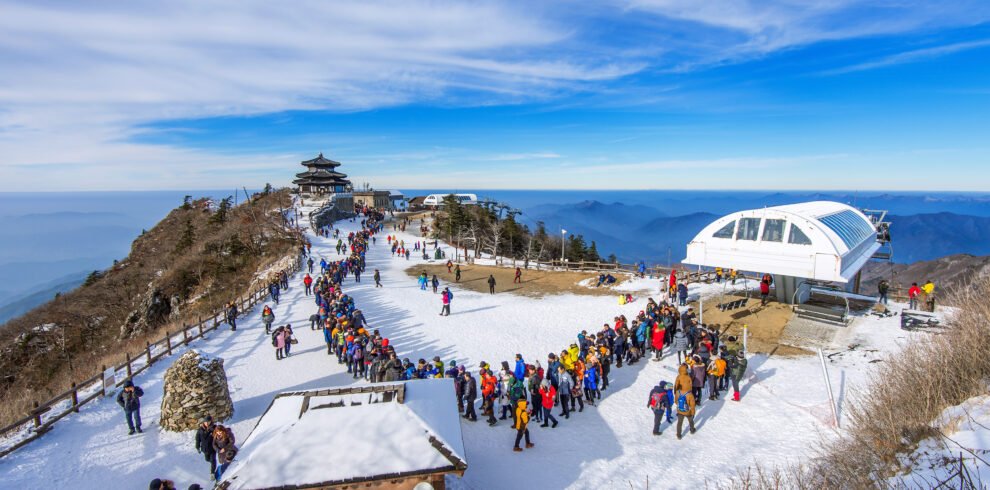 Paradise Shimla Manali 5N 6D Tour from Bangalore