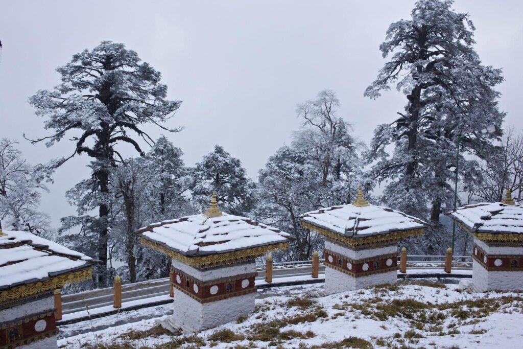 Bhutan tour package from Bangalore picture