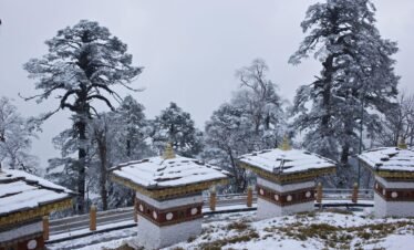 Bhutan tour package from Bangalore picture