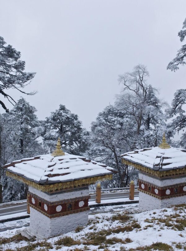 Bhutan tour package from Bangalore picture