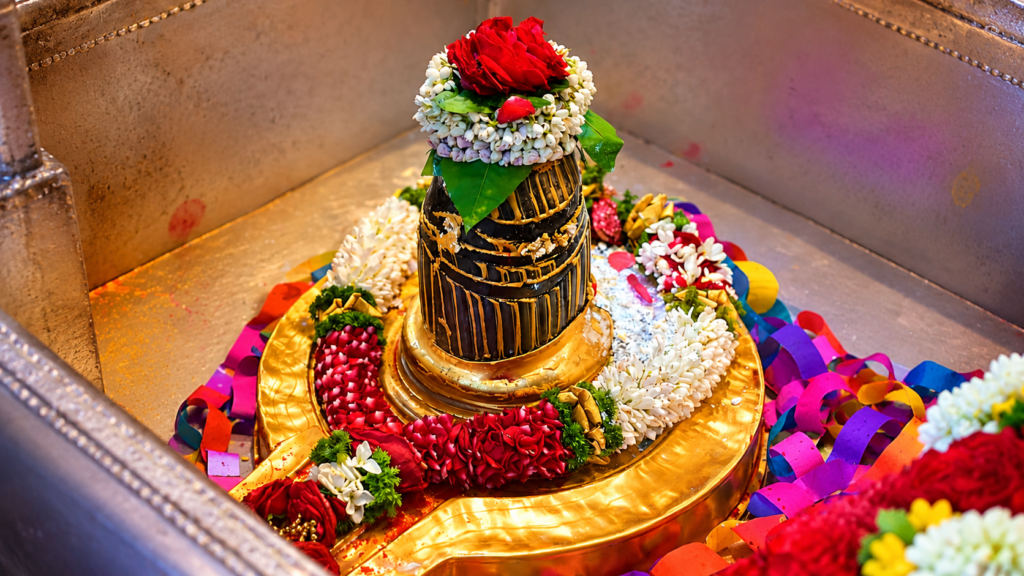 11 Shastris Rudrabhishek (The Ultimate Vedic Ritual)